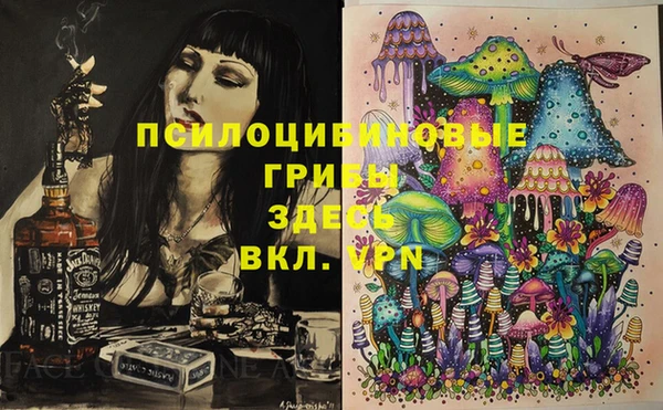 стафф Баксан