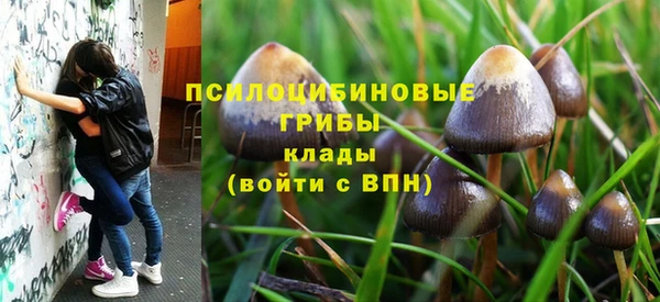 амф Балахна