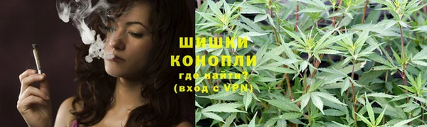 PSILOCYBIN Армянск