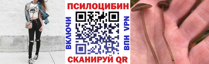Галлюциногенные грибы GOLDEN TEACHER  Купино 